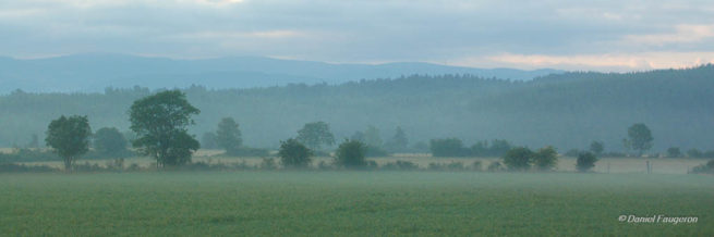 Aube - Langogne - Lozère (France)