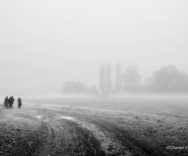 Promenade dans le brouillard - Plessis-de-Roye - Oise (France)