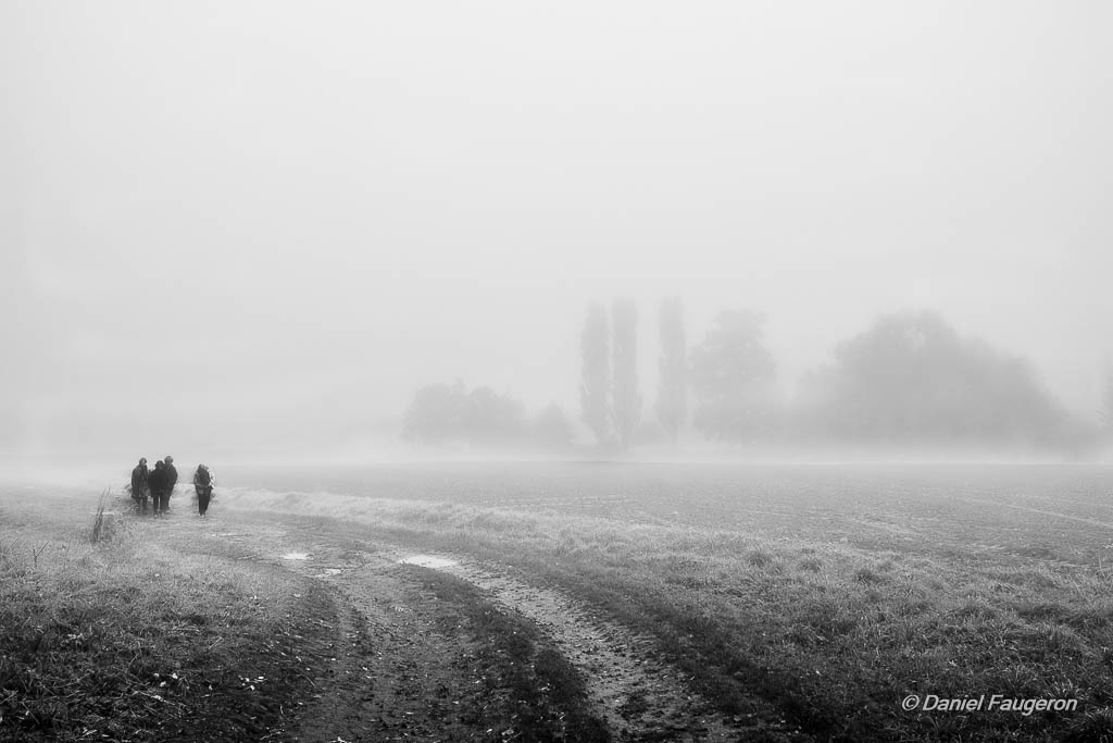 Promenade dans le brouillard - Plessis-de-Roye - Oise (France)
